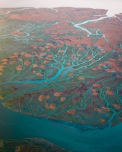 Verdronken land van Saeftinghe - The Netherlands - Drone photo