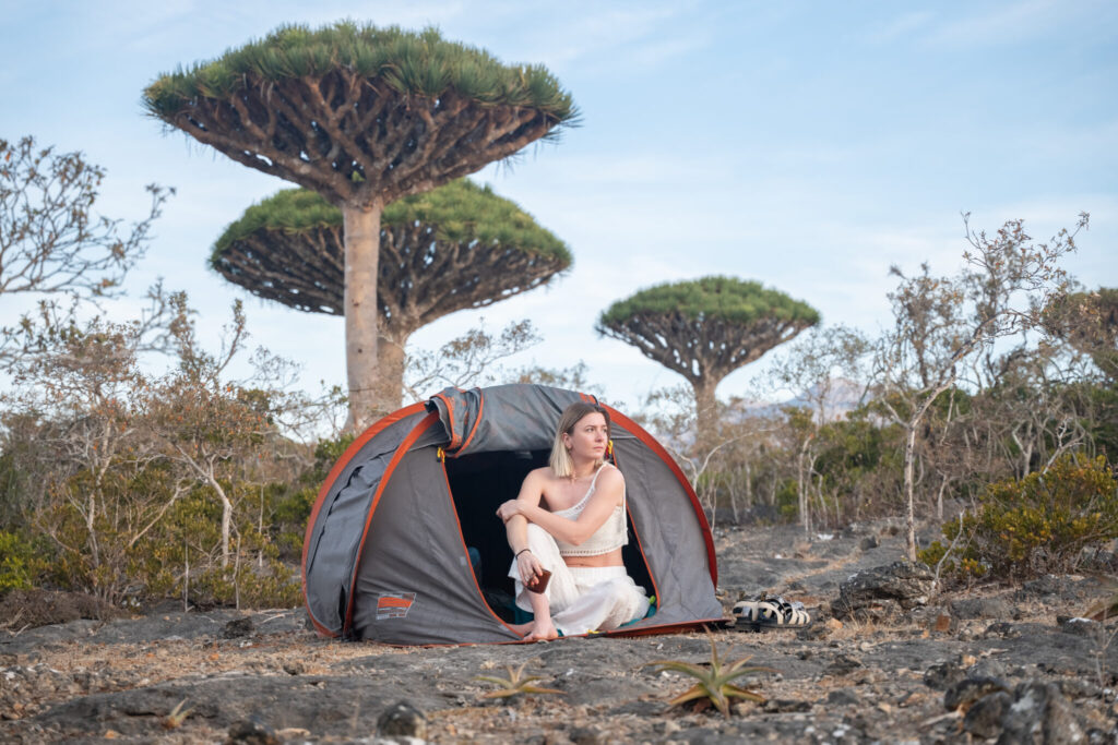 Socotra tent