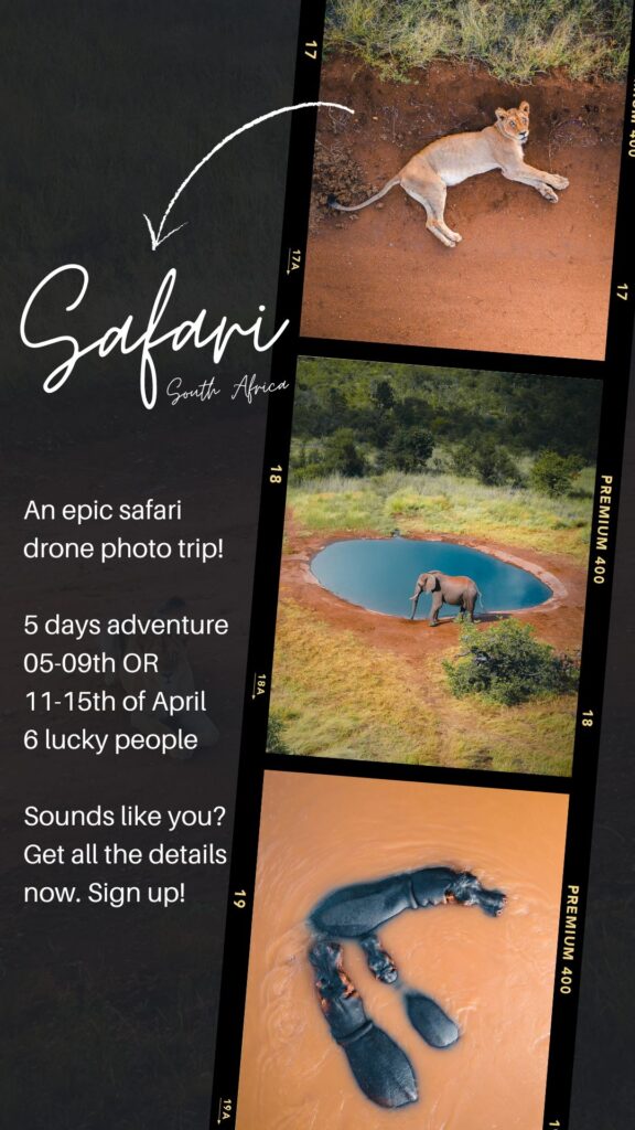 Safari drone trip 2025